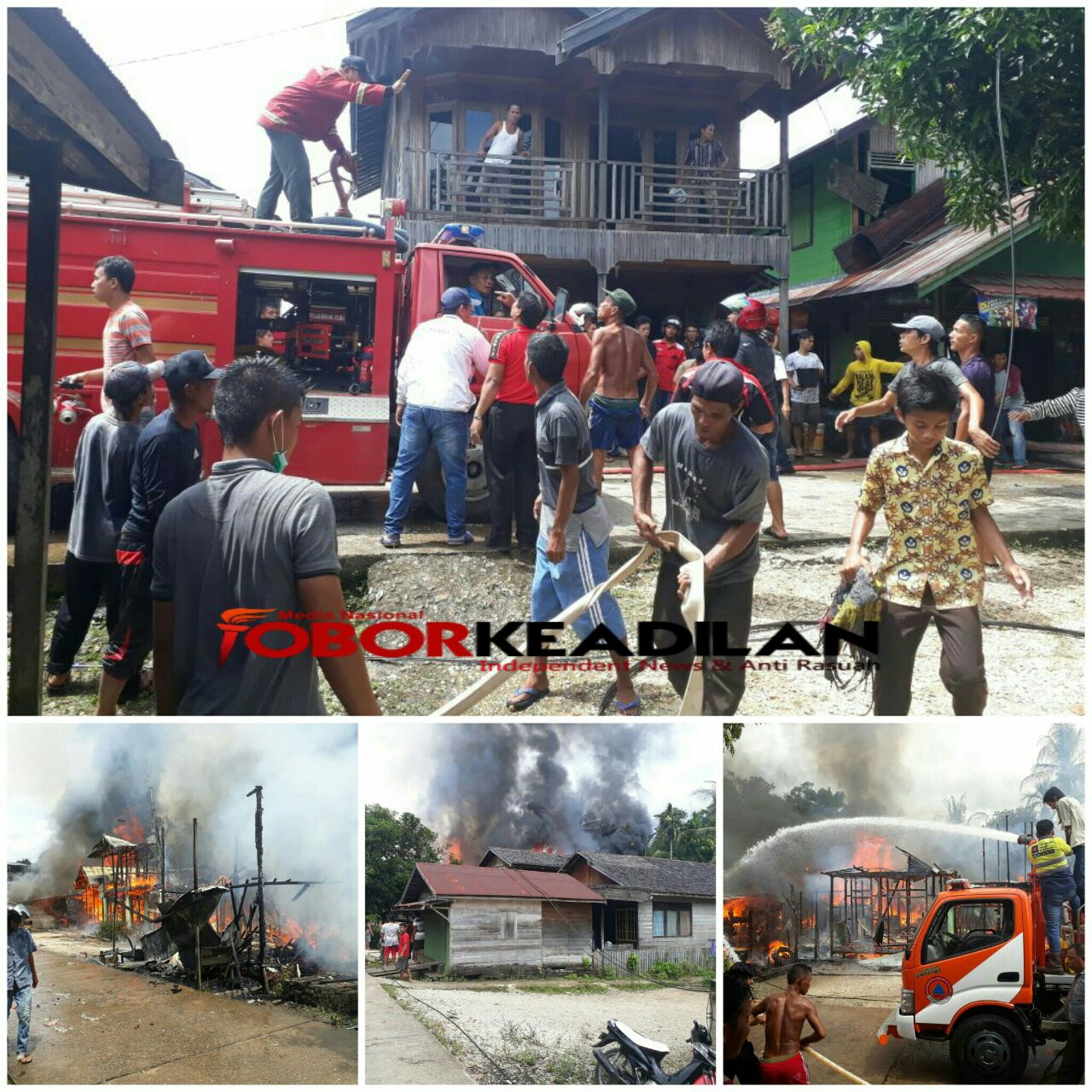 JAGO MERAH MENGAMUK DI KELURAHAN JINGGAH RT.01.