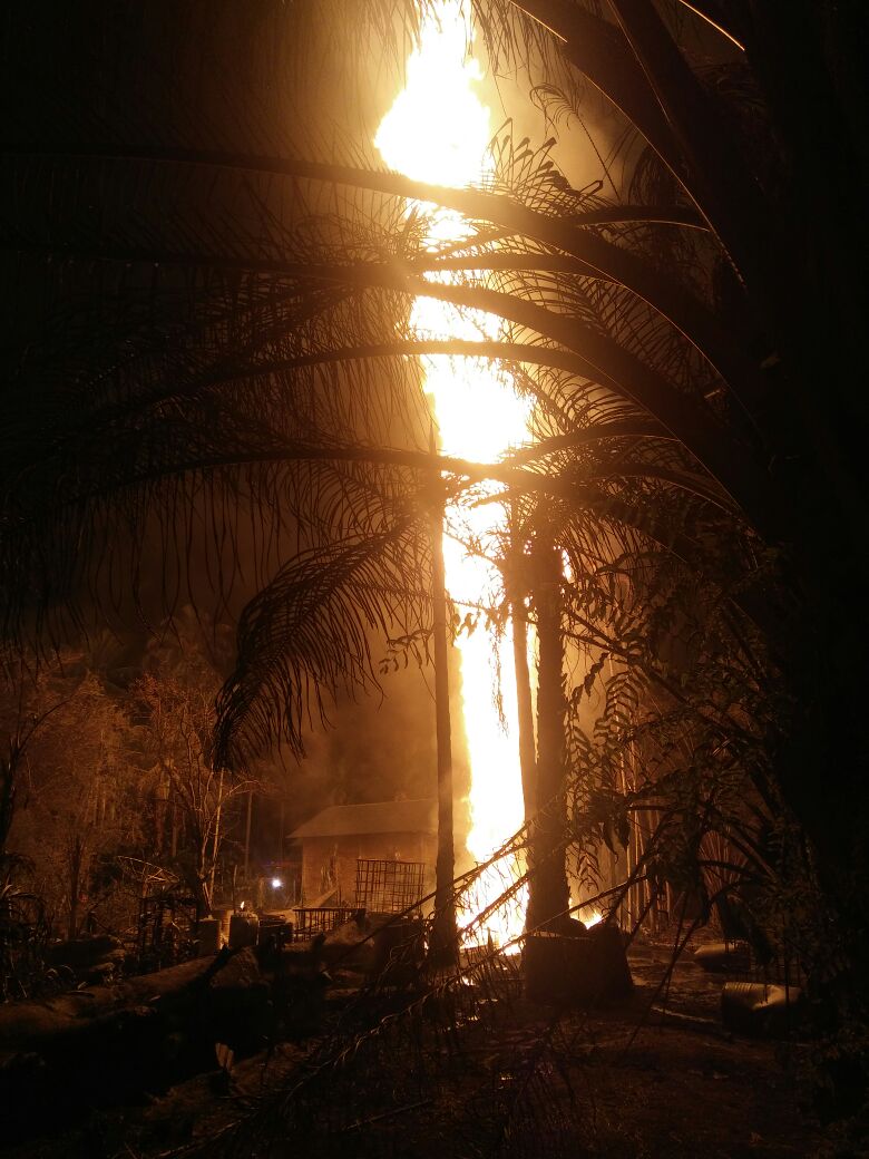 Sumur Minyak Tradisional Aceh Meledak, 8 Orang Meninggal Dunia