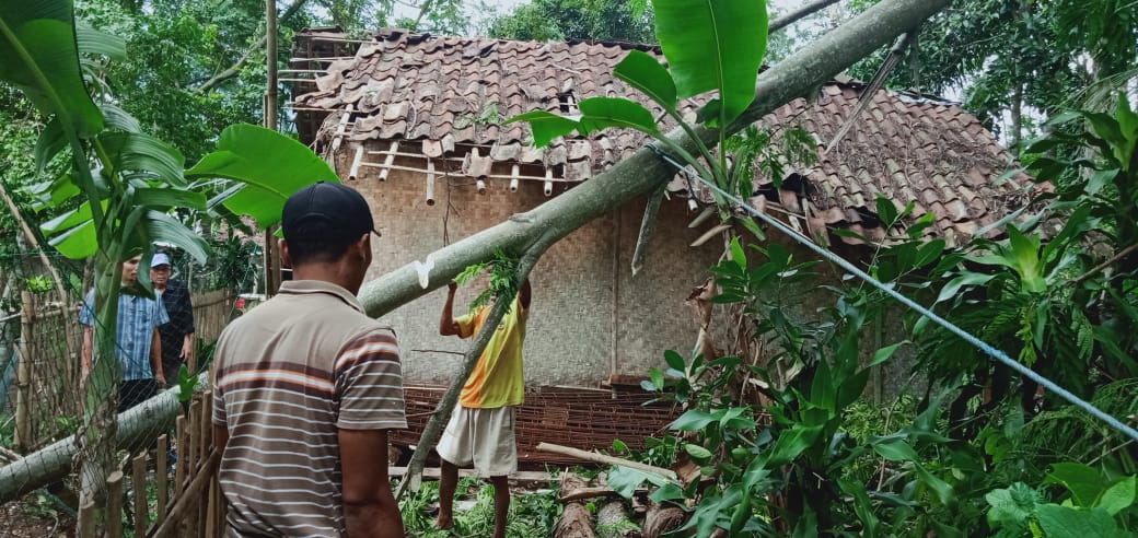 Satu Rumah Rusak Berat, Akibat Pohon Tumbang
