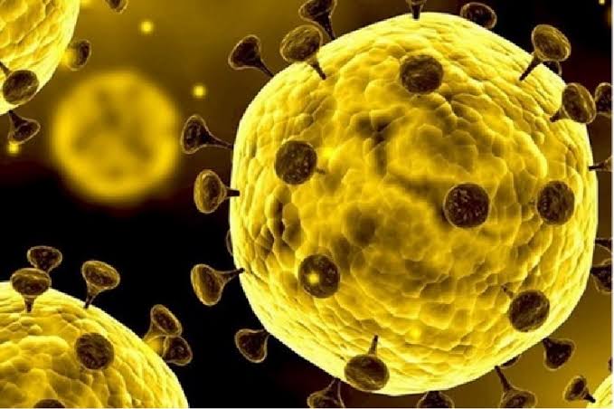 Korban Meninggal Virus Corona Mencapai 636 Orang Terus Meningkat 