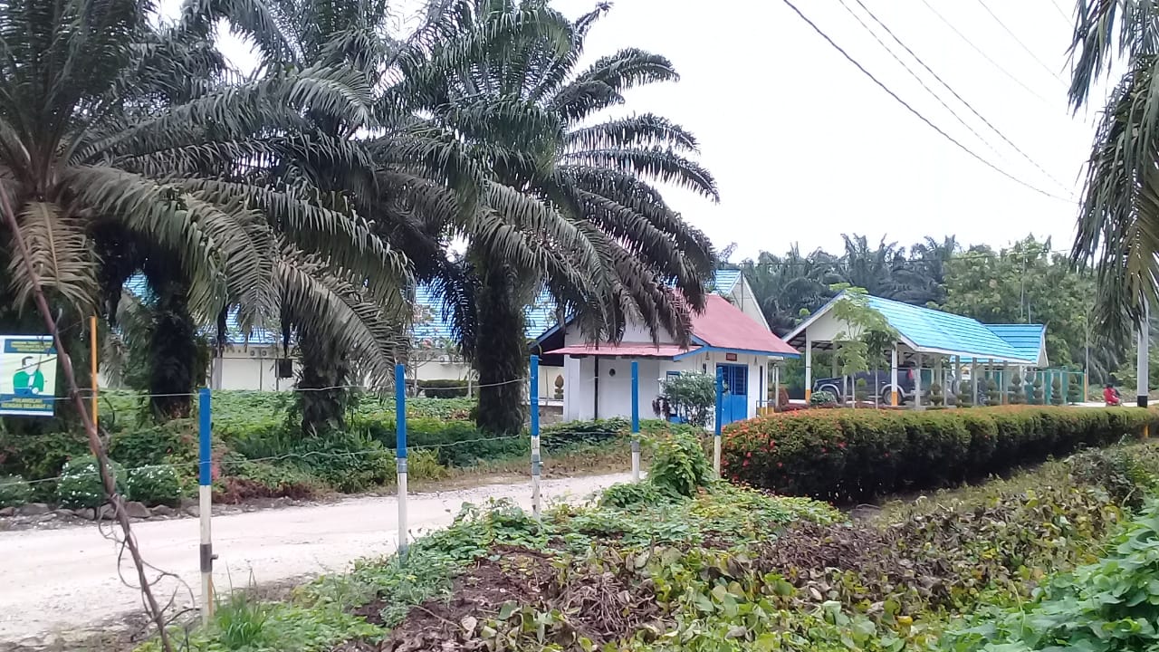 PT. ADEI P&I Diduga Kangkangi UU 39 Tahun 2014, Bebas Tanpa Hambatan