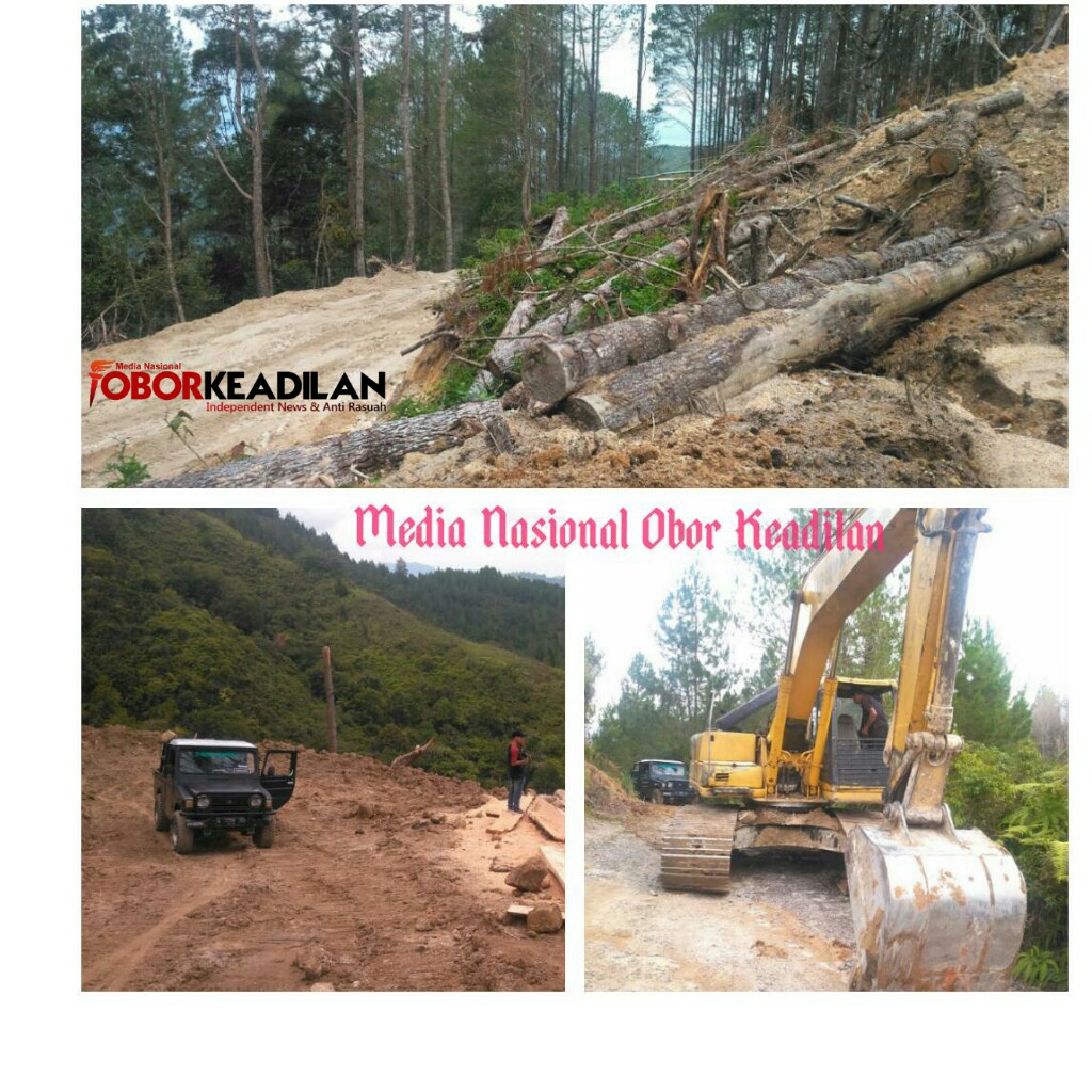 SALAH KAPRAH :  PENGGUNAAN DANA DESA MERUSAK HUTAN LINDUNG DI SIBORUON  BALIGE 