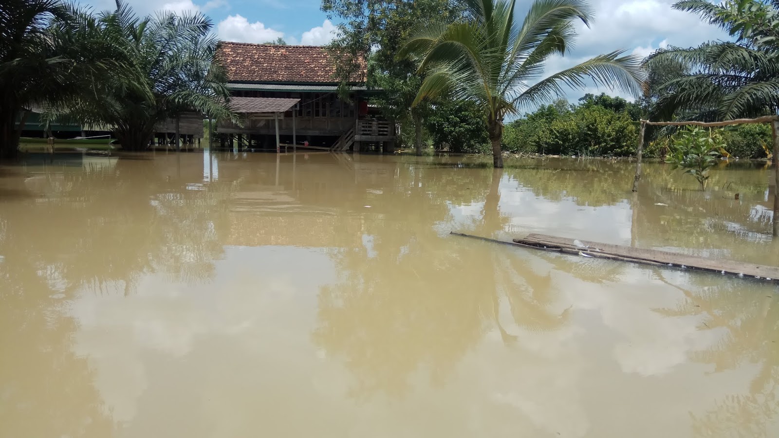 Korban banjir  Di  Pematang panggang khawatirkan serangan ular dan buaya
