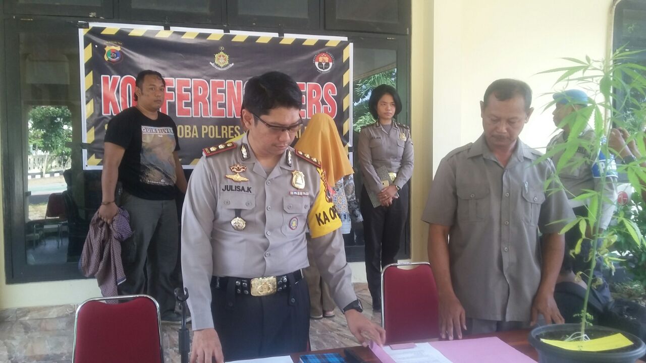 Warga Perancis pemilik Pohon Ganja Diciduk Aparat Sat. Narkoba Polres Mabar