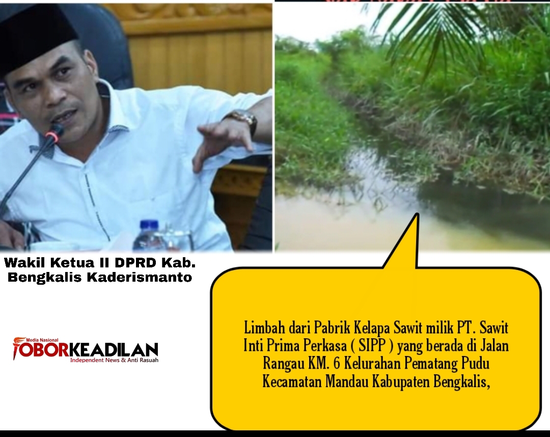 Permasalahan Limbah PKS PT.SIPP Jalan Rangau Duri Mendapat Respon Dari Wakil Ketua DPRD Bengkalis