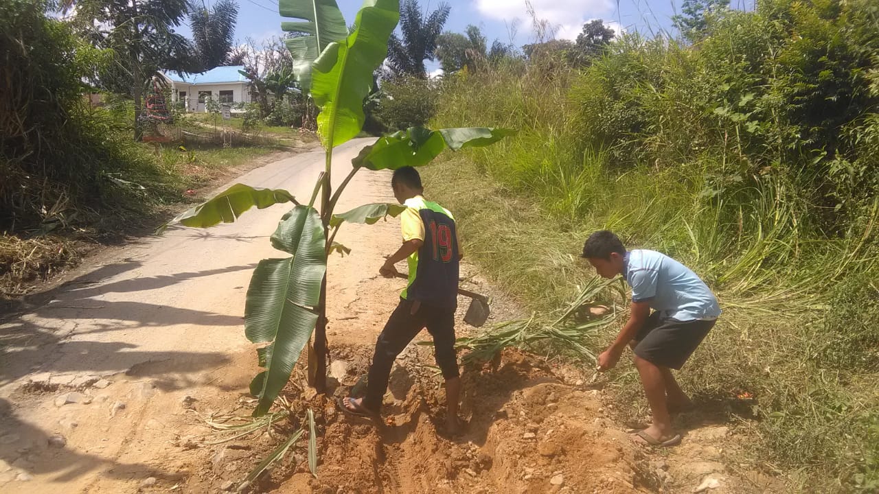 Pemda Kab Tobasamosir Pura -pura Buta Terhadap Jalan Yang Rusak Parah di Kec Habinsaran 