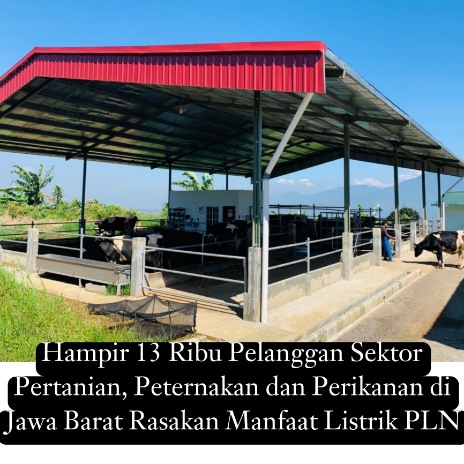 Berkisar 13 Ribu Pelanggan Sektor Pertanian, Peternakan dan Perikanan di Jawa Barat Rasakan Manfaat Listrik PLN