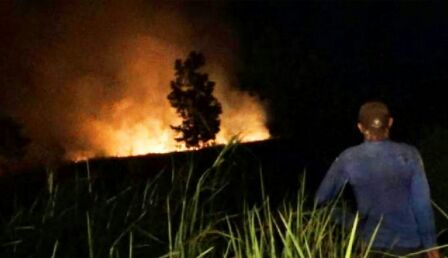KEBAKARAN LAHAN KEMBALI TERJADI DI SAMPIT-KALTENG