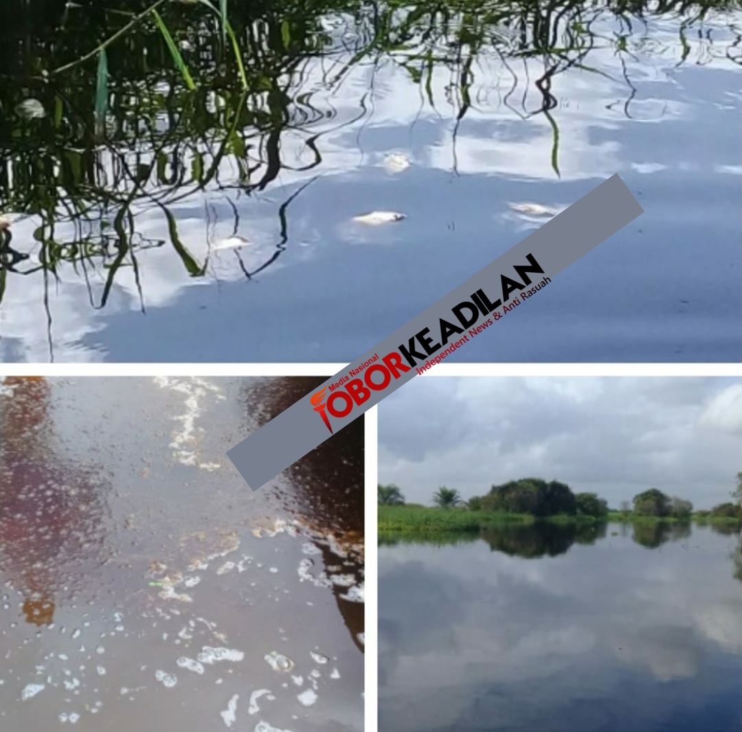 Limbah PKS PT.ADEI,"Bunuh" Mata Pencarian Warga Kuala Penaso Riau
