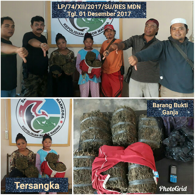 Di kabupaten Madina  Dua  Wanita ditangkap Polisi karena  Nekat langsir  Ganja 6kg    