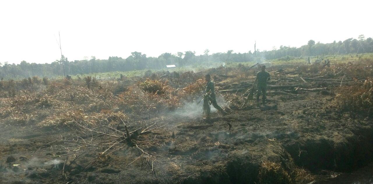 Danramil Trumon Himbau Masyarakat Agar Tidak Membakar Lahan Sembarangan 