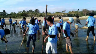 Gerakan Tanam1000 bibit Mangrove oleh Mahasiswa Ekonomi Pencinta Alam Universitas​ Negeri Makassar (MAEKPA) 