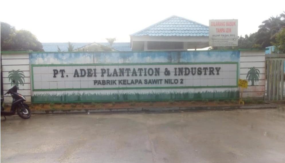 PKS PT Adei Plantation Diduga Tampung TBS Ilegal