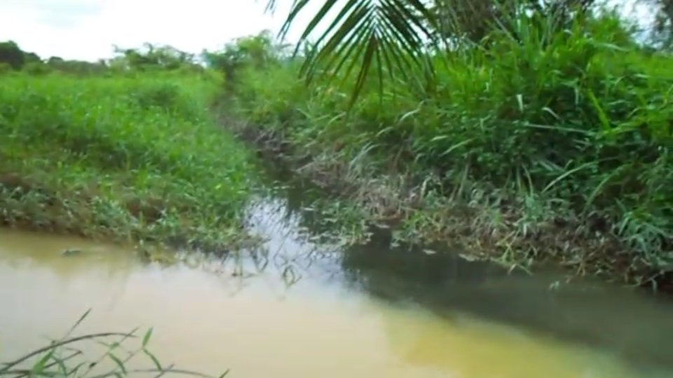 Di Masa Pandemi Corona, PKS PT. SIPP Jalan Rangau Duri, Sumbangkan Limbahnya Untuk Cemari Lingkungan