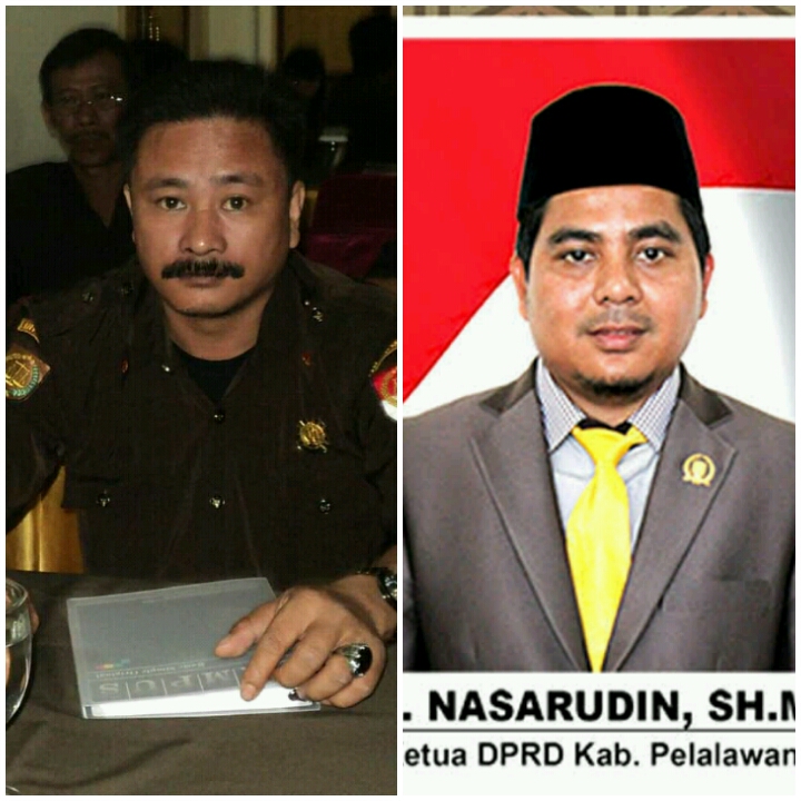 Ada Bangunan Jalan Di Kebun " Ketua DPRD Pelalawan Minta Pihak Kepolisian Mengusut Temuan Ini Sampai Tuntas "