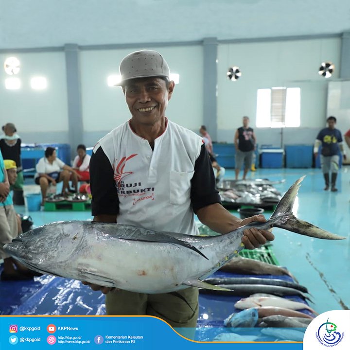 Di Bitung 150 Ton Ikan Perhari Ditangkap, Komoditasnya 60% Tuna dan 40% Ikan Biasa