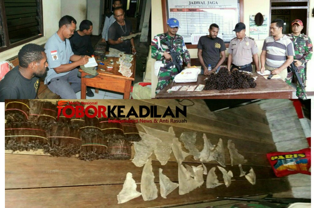 Satgas Yonif PR 501 Kostrad Amankan Vanili Dan Sirip Ikan Hiu