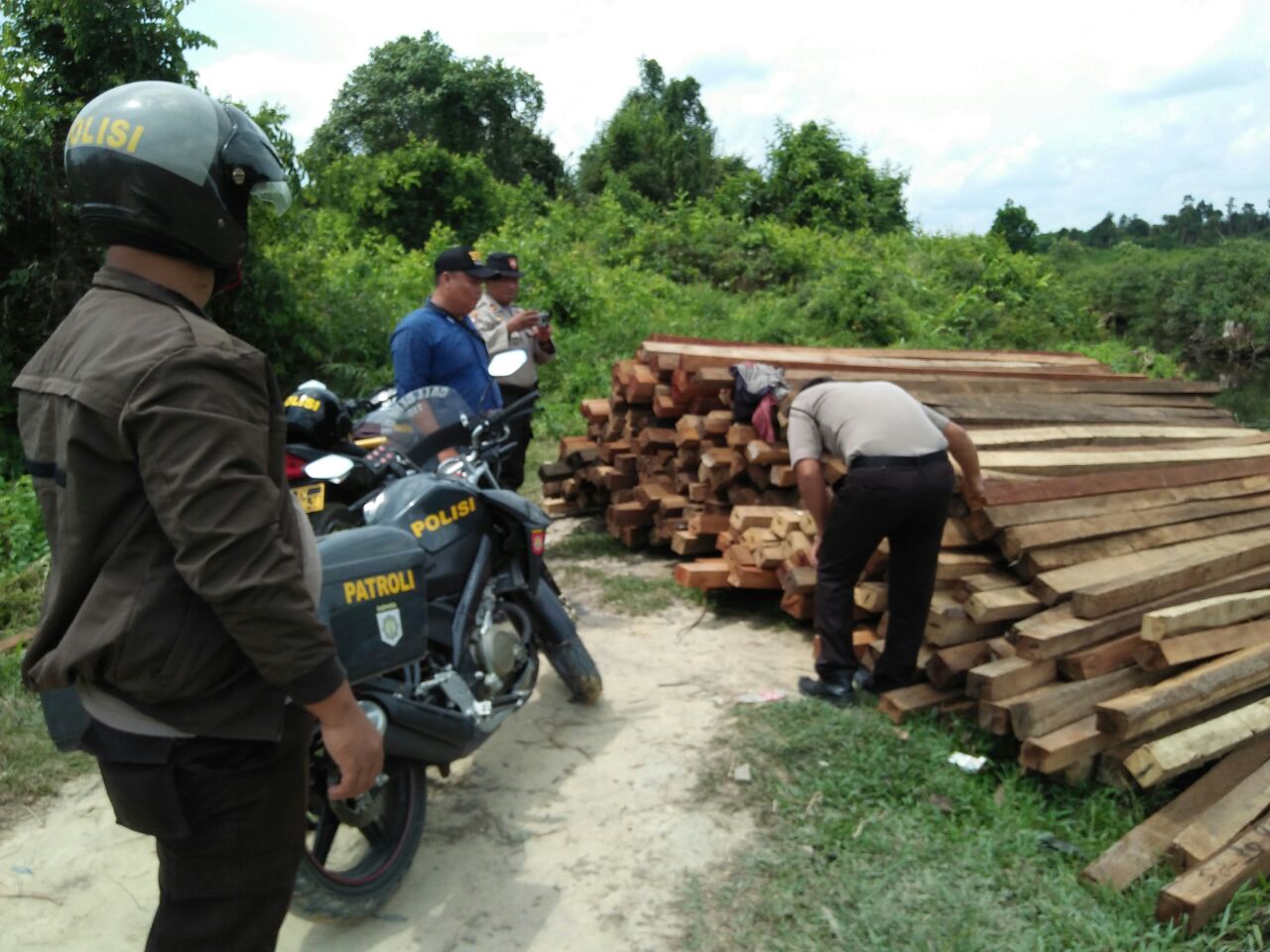 Tumpukan Kayu ilegal Tak Bertuan Ditemukan LTKPKSN PIN RI