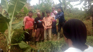 LADANG GANJA SELUAS ENAM  (6) HA DI ACEH , DIMUSNAHKAN TEAM GABUNGAN