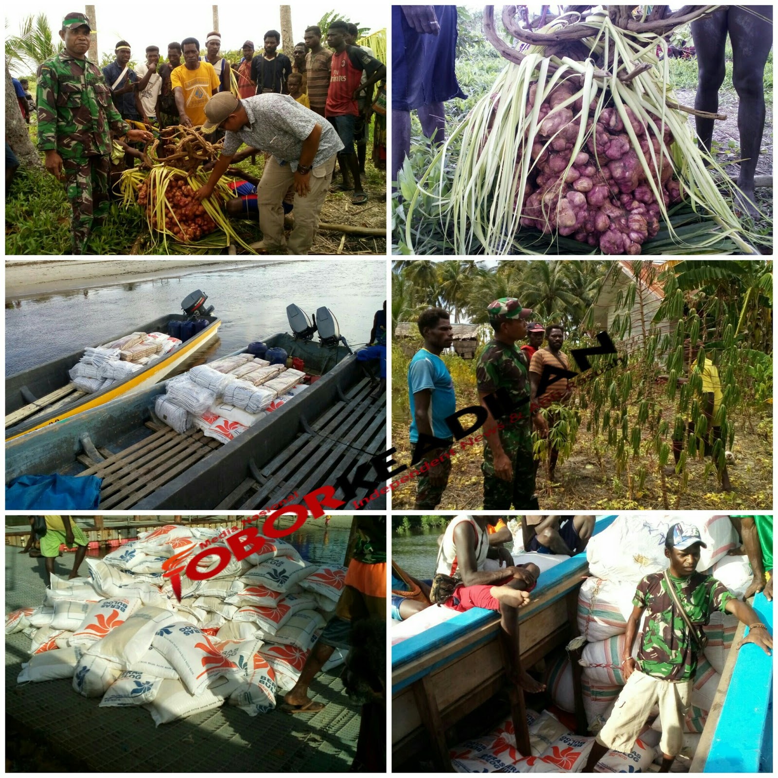5000 orang di Distrik Waan Kab Merauke Papua memakan kulit kayu karena kelaparan, Ternyata Hoax