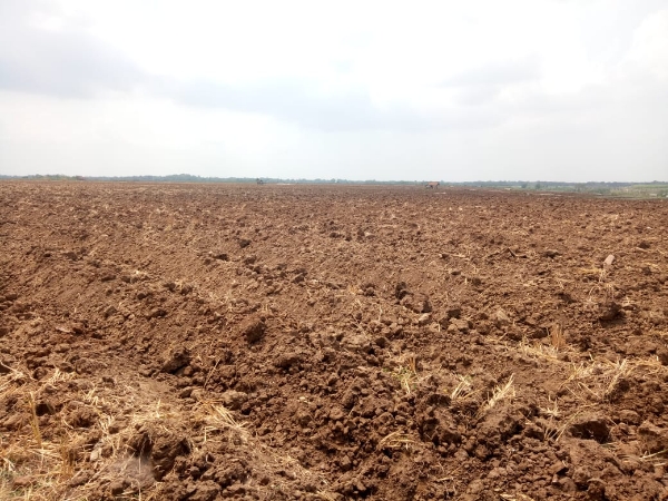 Tidak berperikemanusiaan Lahan Garapan Warga Petani Tanpa Kompromi Diambil Alih Oknum Kadus