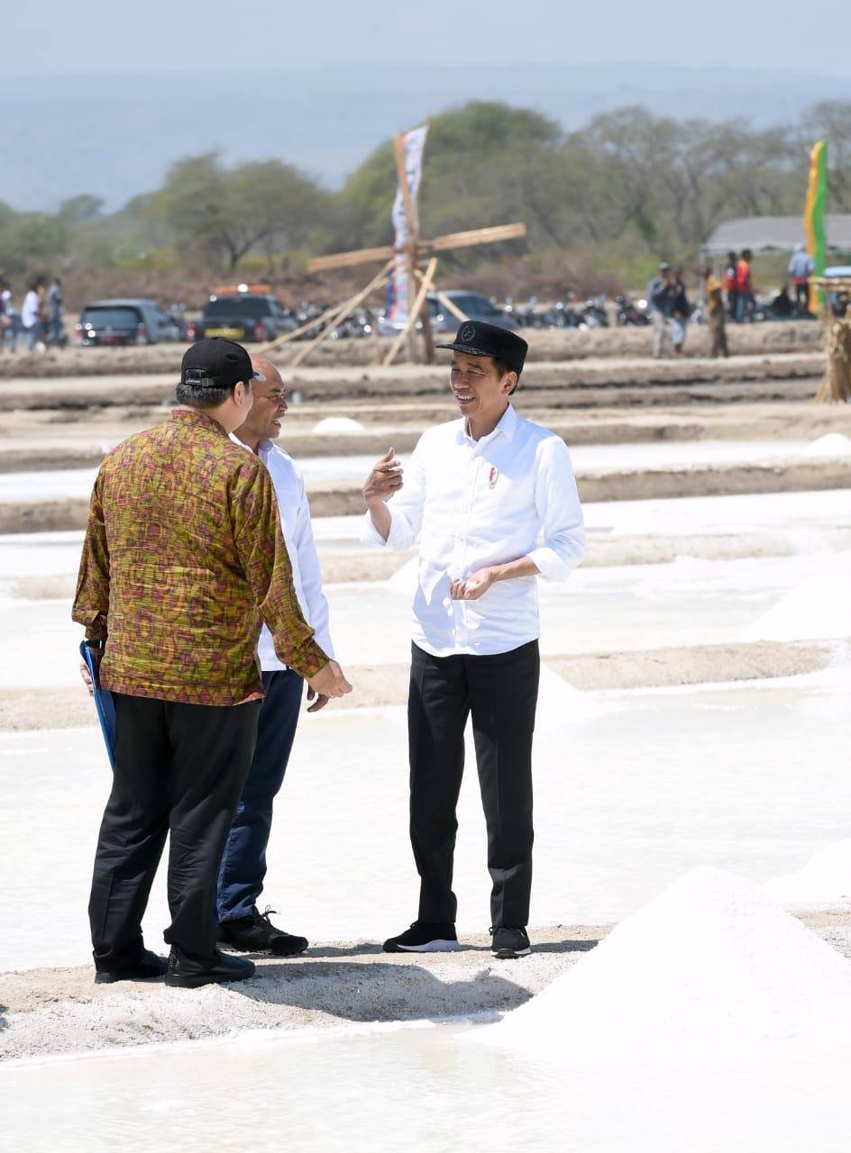 Dibandingkan Australia, Presiden Jokowi: Garam NTT Hasilnya Lebih Bagus, Lebih Putih