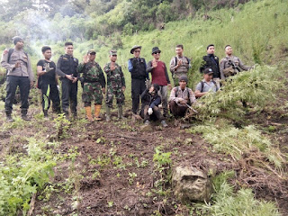 BNN PROPINSI SUMATERA BESERTA  GABUNGAN TNI/ POLRI TEMUKAN LADANG GANJA 3 HA DI TOR SIHITE 