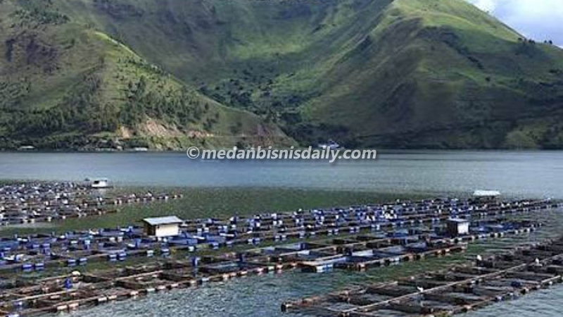 Kabar Danau Toba : Akhir Maret Ini Nasib PT Aquafarm Nusantara Diputuskan di PTUN Jakarta