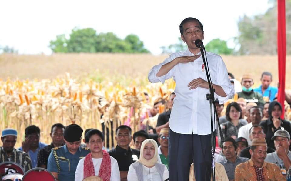 Panen Raya di Gorontalo, Presiden Jokowi: Dulu Kita Impor Jagung 3,5 Juta Ton, Sekarang Kecil Sekali