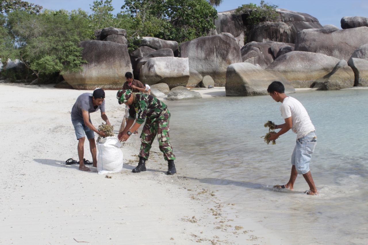 KODIM 0414/ BELITUNG LAKSANAKAN KARYA BHAKTI TERPADU,  400 PESERTA SERBU PANTAI TANJUNG TINGGI DI HUT TNI KE 73