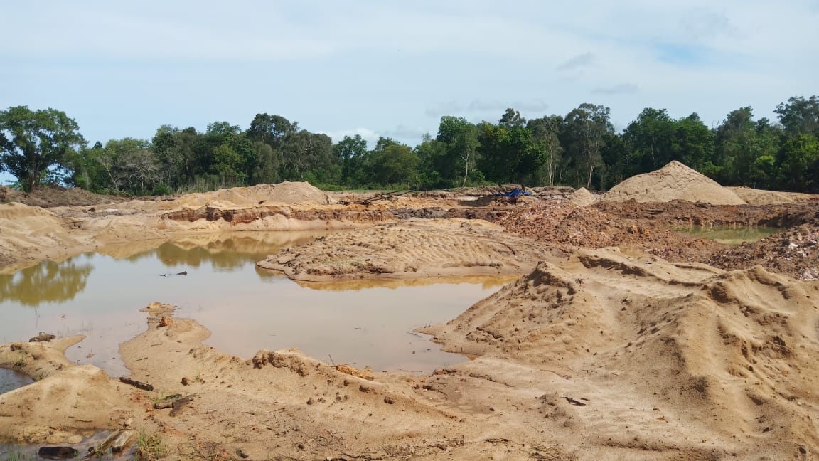 Dinas Perijinan Provinsi Kalimantan Barat Terbitkan IUP Menabrak Perpres dan Undang undang 