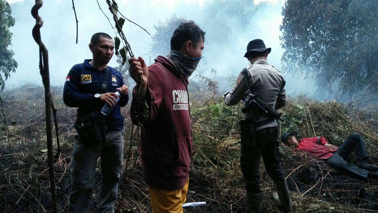 Polres Pelalawan Berhasil Bekuk Pelaku Pembakar Lahan di Desa Pulau Muda.