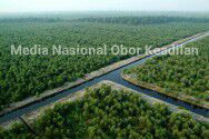 PROGRAM PERSIDEN MEMBAGIKAN LAHAN GAMBUT RIAU UNTUK MASYARAKAT RIAU CABUT IZIN HTI DI RIAU, KEMBALIKAN UNTUK RAKYAT