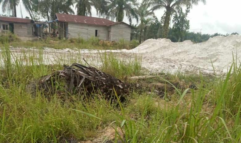 Hutan Konservasi Disulap Menjadi Tambang Pasir, Diduga Untuk Keperluan Tol Pekanbaru-Dumai