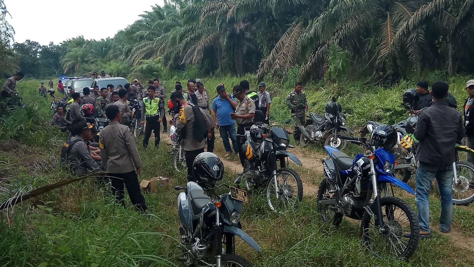POLRI-TNI MELAKUKAN POTROLI GABUNGAN Dl PERBATASAN PROPINSI
