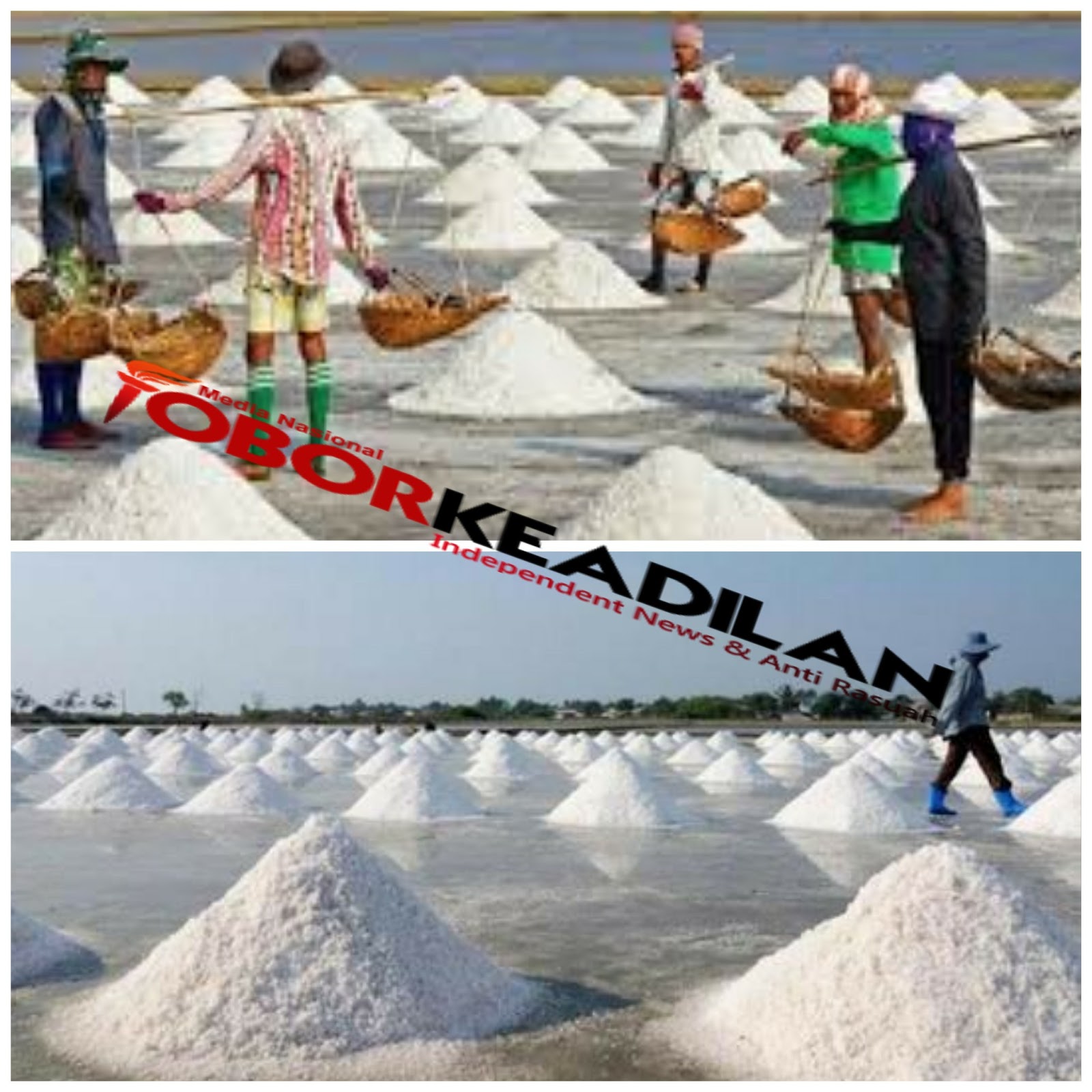 Jokowi Sahkan PP No 9 Tahun 2018 Tentang Pengendalian Garam , Diapresiasi Sekjen Poros Maritim Dunia (PMD)