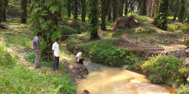 Puluhan Tahun PT Musim Mas Diduga Serobot 2050 Ha Lahan Air Hitam
