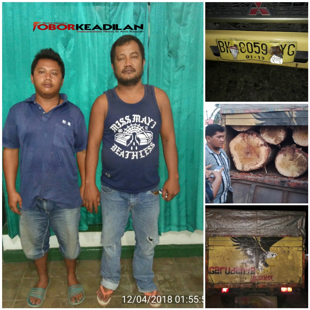 Intel Kodim 0212/TS Tangkap Truck Pengangkut Kayu Ilegal di Padangsidimpuan  