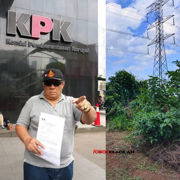 Kangkangi Perpres 60 Tahun 2020, Andar GACD: Saya kan Pidanakan Dirut PLN Terkait Sutet 500 kV Balaraja-Kembangan