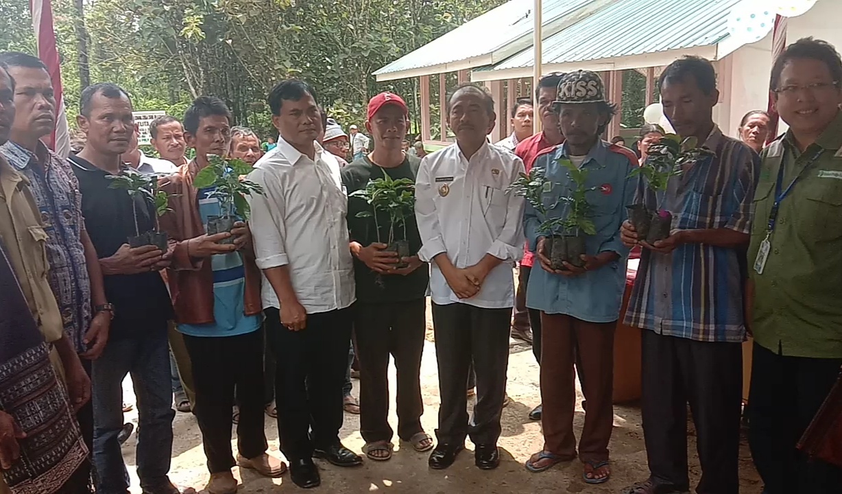 Wabup Tobasa, Serahkan  200 Bibit Kopi Pada Petani di Parmaksian