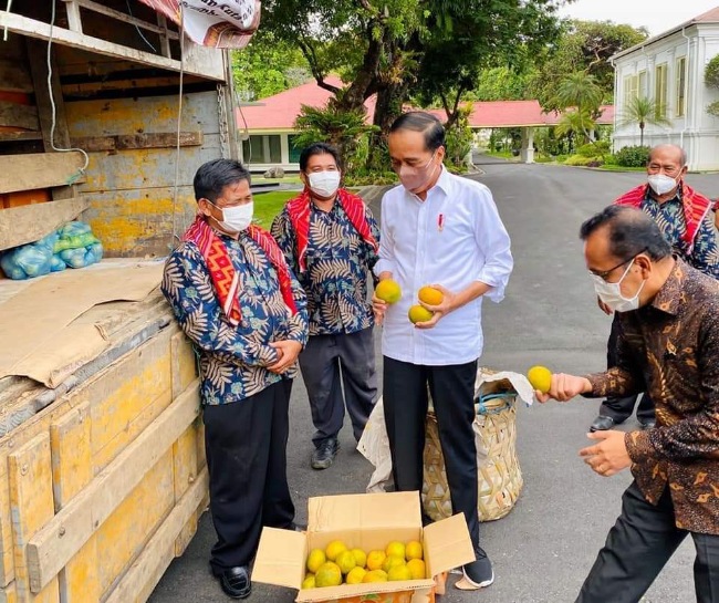 Warga Kab Karo Hantar 1 Truk [3 ton] Jeruk Oleh-oleh Buat Presiden Joko Widodo di Istana