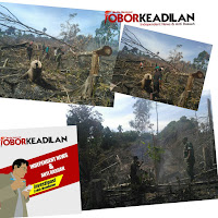 BUMI ACEH MENANGIS !!! LAHAN HUTAN PERKEBUNAN KEMBALI TERBAKAR