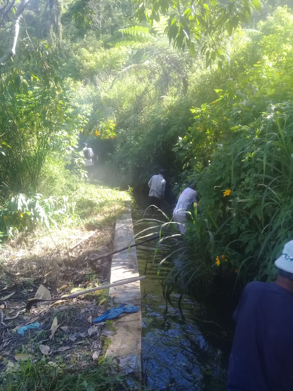 Forum Warga Desa Matio Balige Melakukan Gotong-royong