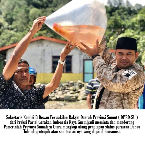 Desak Gubernur Sumut Kaji Ulang Status Danau Toba Oligrotropik, Anggota DPRD Bilang Begini 
