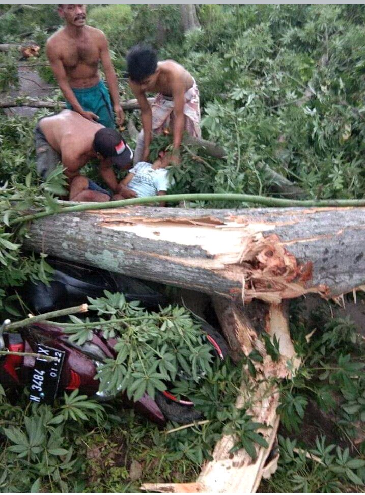 Hujan Deras Disertai Puting Beliung Terjang Desa Tambakrejo, Tewaskan Seorang Pengendara Motor 