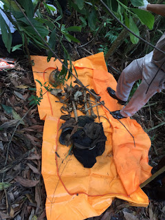KERANGKA MANUSIA DI TEMUKAN WARGA DI HUTAN BELANTARA PEKAN BARU, RIAU