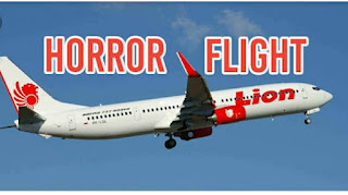Breaking News: Pesawat Lion Air Dipastikan Jatuh di Karawang 