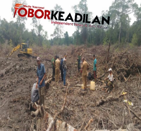 Akhirnya Polhut Riau Menyita Alat-alat Perambah Hutan Mangrove Pulau Bengkalis
