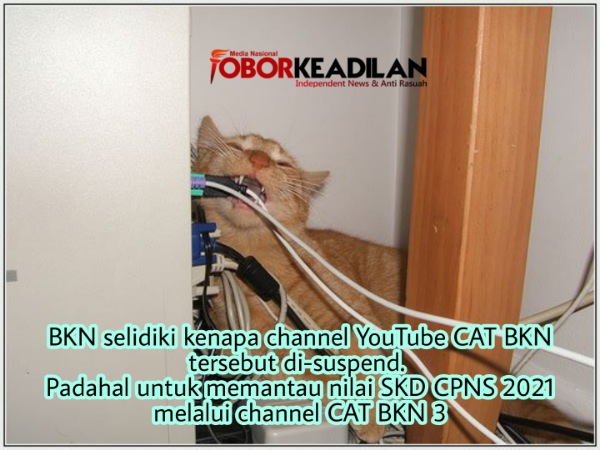 Channel YouTube CAT BKN di Suspend, Pantau Skor SKD CPNS 2021 di Channel CAT BKN 3