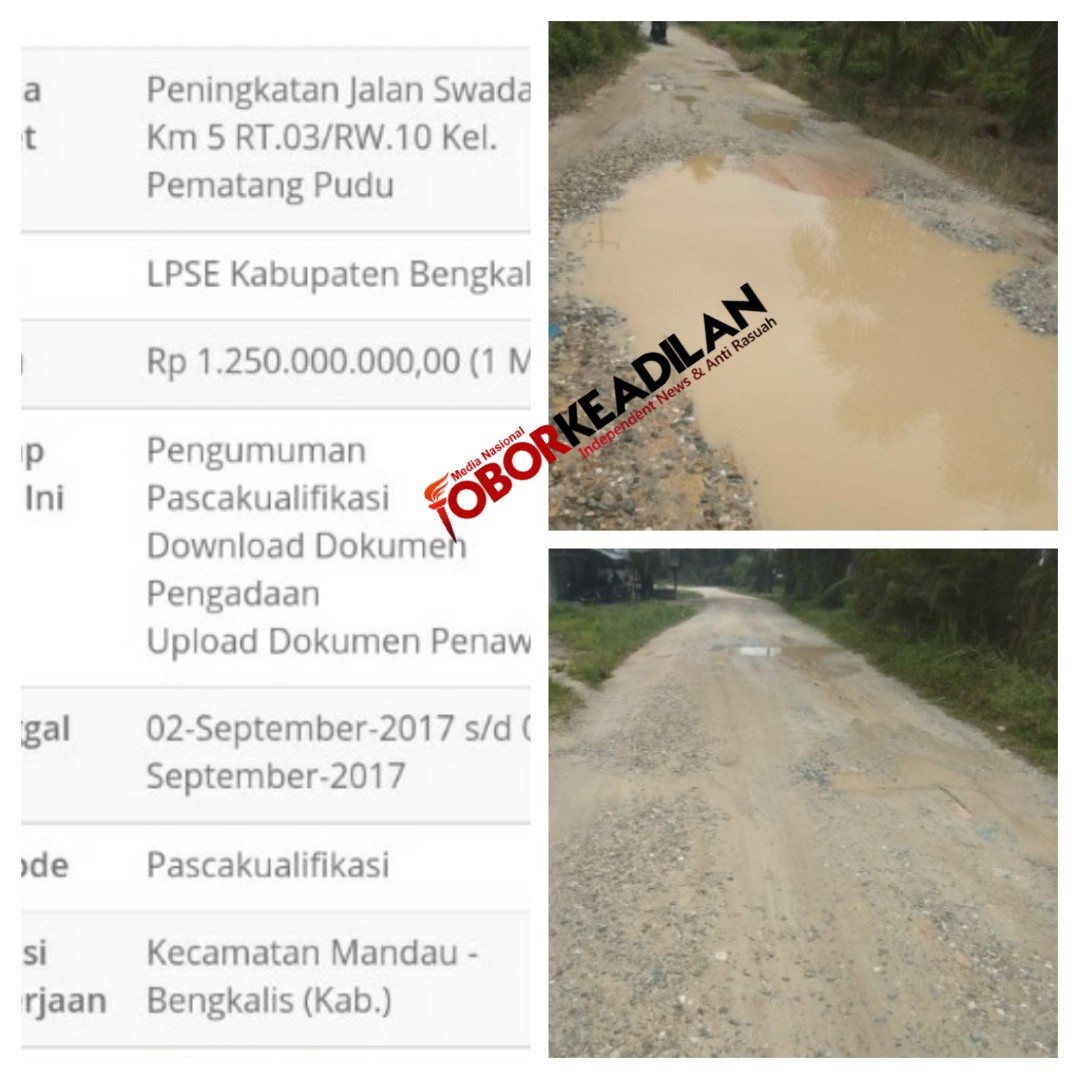 Telan Dana Milyaran,  kondisi Jalan Swadaya Kel-Pematang Pudu, kec-Mandau, Kab Bengkalis, Masih Memprihatinkan